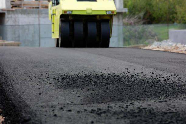 Best Brick Driveway Pavers  in Laporte, CO